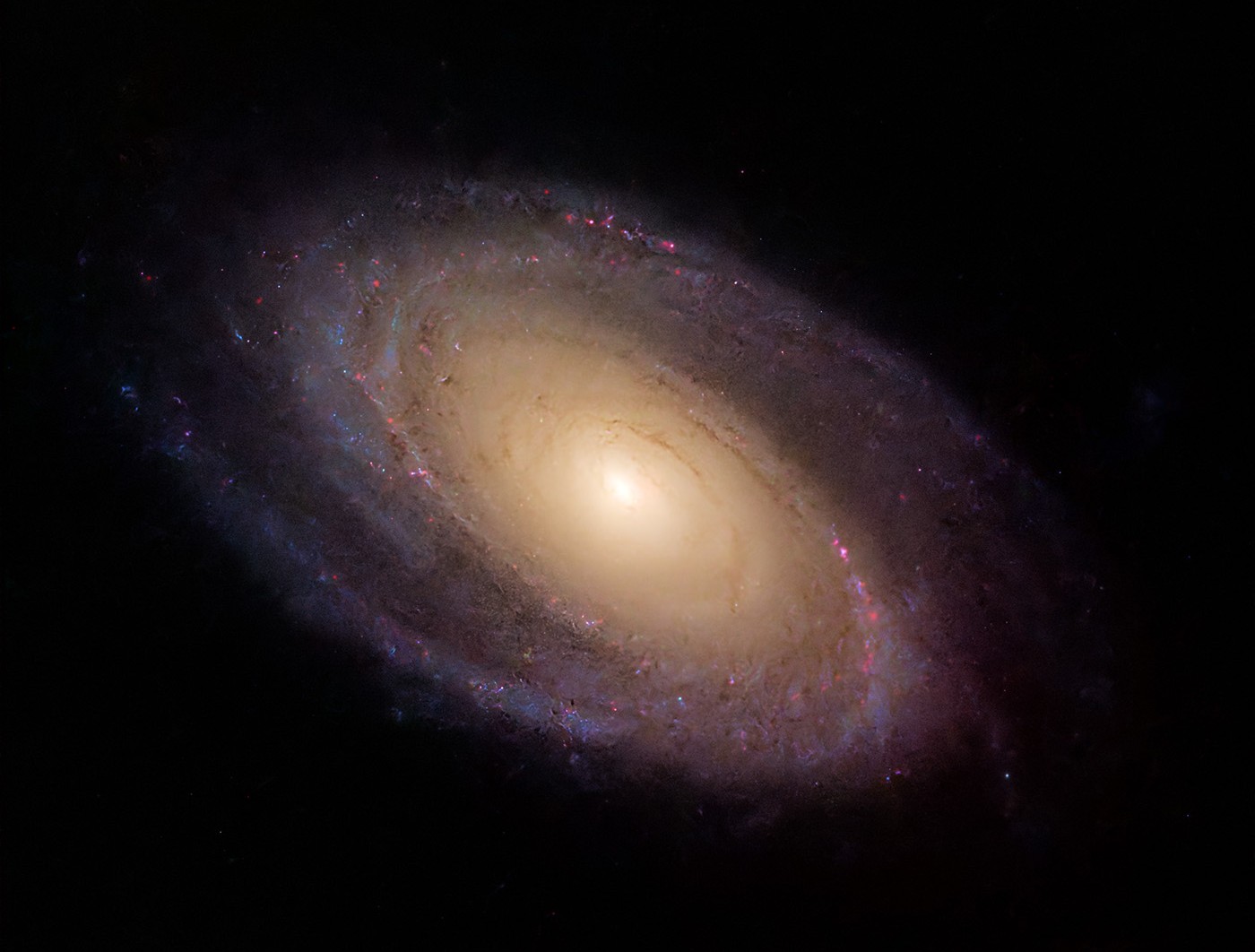 M81 - click for larger view