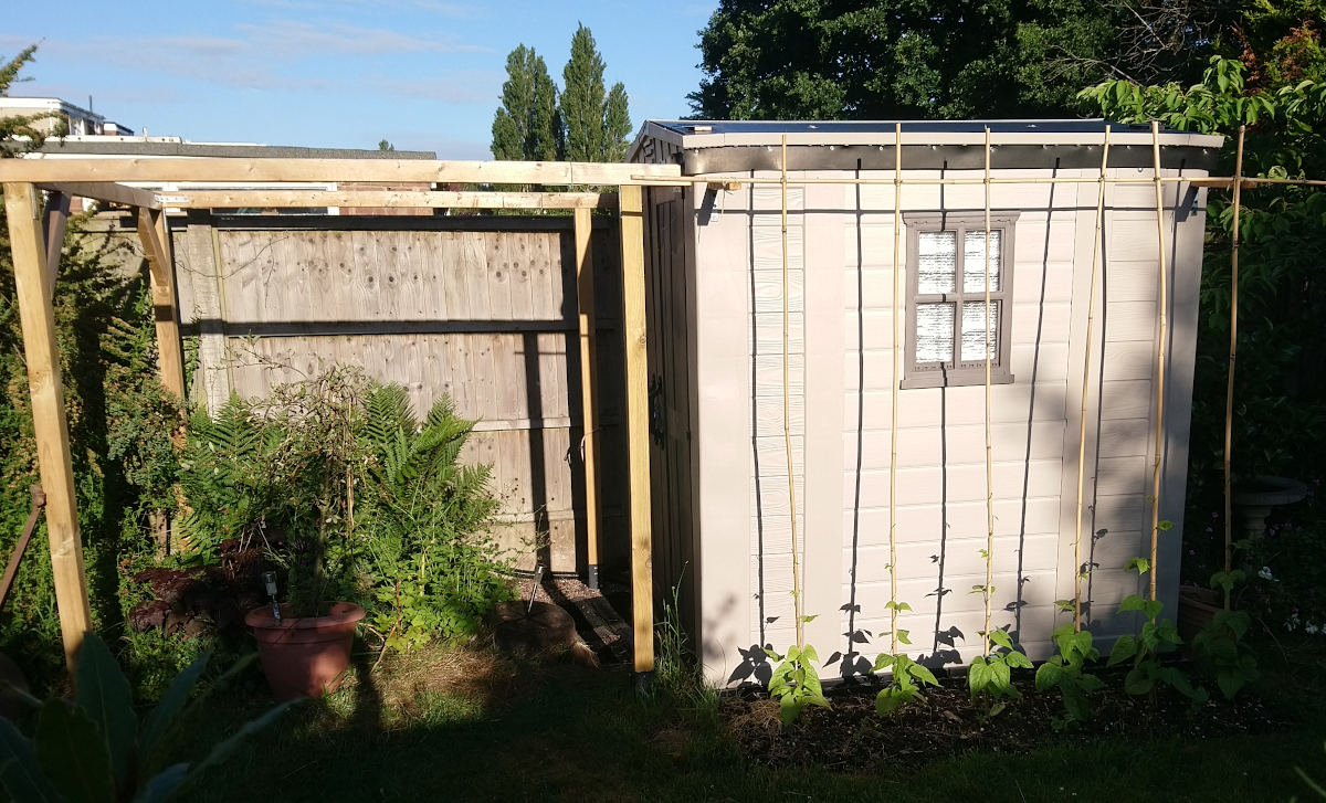 Observatory with climbing French beans growing up the side.